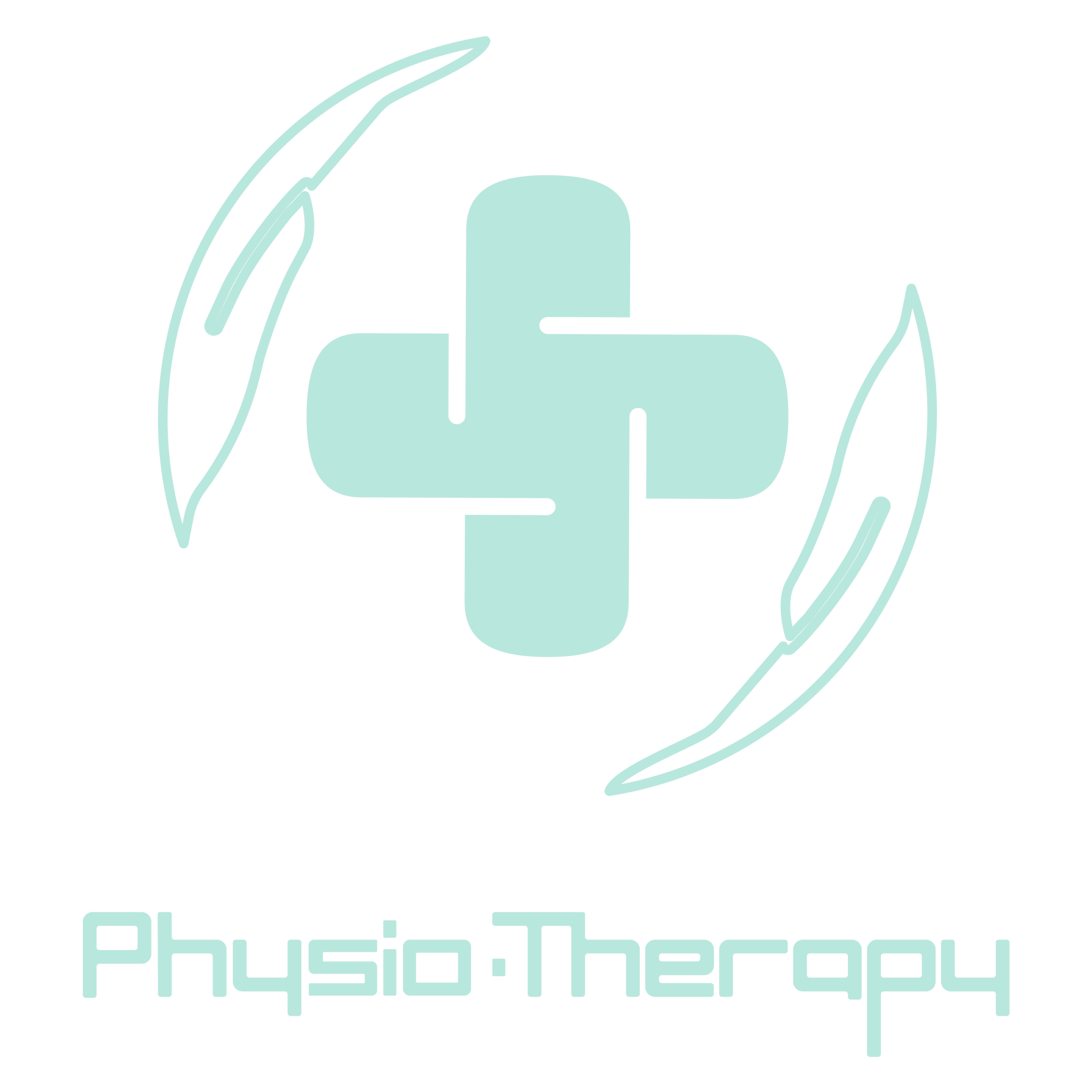 physiotherapy